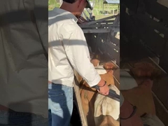 PT290 LF خواننده برچسب گوش گاو خواننده چوب RFID