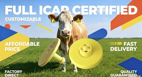 برچسب‌های گوش الکترونیکی بادوام FDX-B با گواهی کامل ICAR برای ردیابی و شناسایی گاو و پشتیبانی از نظارت بر دام و قابلیت ردیابی مزرعه