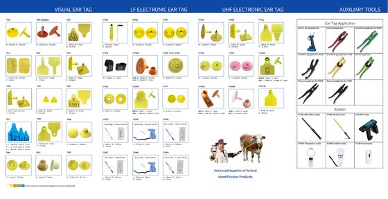 FOFIA Cow TPU Visual Yellow Livestock Connect برچسب گوش گاو مدل T921