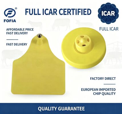 ICAR ET908+T905 ضد آب RFID TPU زرد تگ حیوانات FDX-B 134.2Khz EM4305 Chips Cattle