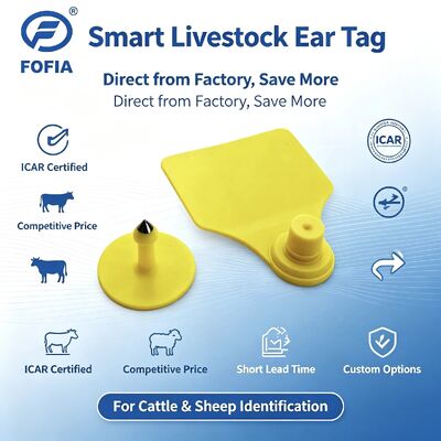برچسب گوش حیوانات ترکیبی فوفیا T904 RFID TPU 72*57mm لیزری کدگذاری فارم گاو خوک گوسفند ایکار