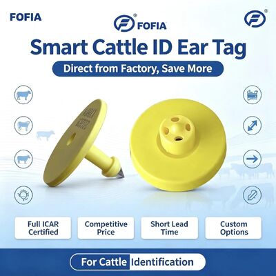 ICAR کامل ET908+T901 ضد آب RFID LF TPU برچسب های گوش زرد حیوانات 14.5mm EM4305 تراشه 5 سال گارانتی گاو فوفیا