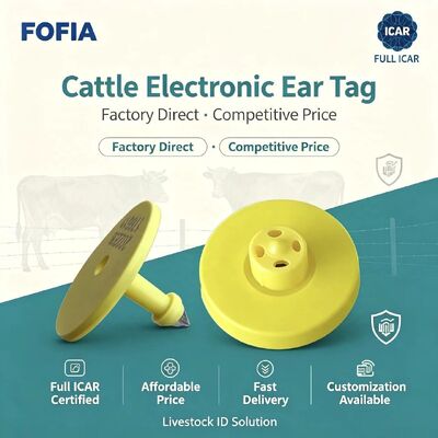 جدید ICAR Full ضد آب RFID TPU برچسب های گوش زرد حیوانات 14.5mm EM4305 تراشه 5 سال گارانتی استفاده از مزرعه فوفیا
