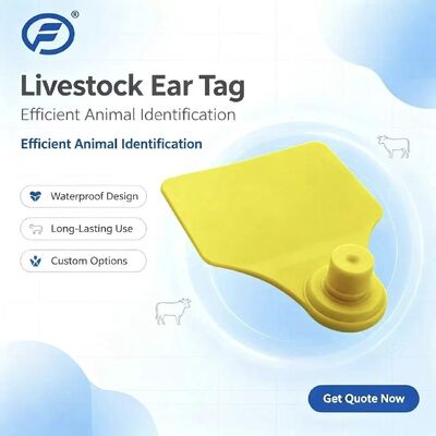 تراشه تگ گوش حیوانات ICAR Fofia T904 با کیفیت بالا RFID TPU کدینگ لیزری گارانتی 3 ساله برای استفاده در مزرعه جهت ردیابی دام