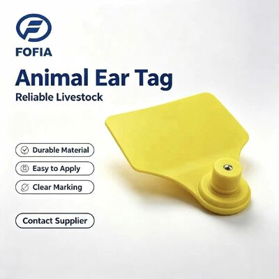 ICAR Fofia T904+T901 برچسب گوش حیوانات جدید با کیفیت بالا RFID TPU 72*57mm لیزر کدگذاری 3 سال گارانتی استفاده از مزرعه برای گاو