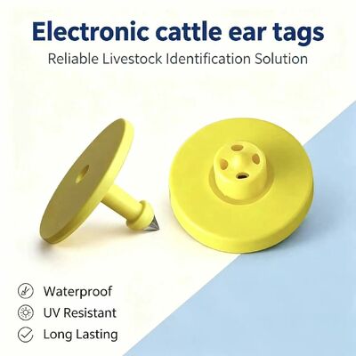 جدید کامل ICAR ET908+T901 ضد آب RFID LF TPU برچسب های گوش زرد حیوانات 14.5mm EM4305 تراشه 5 سال گارانتی گاو فوفیا