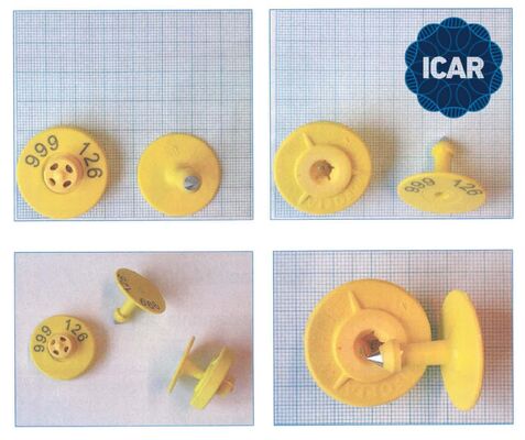 برچسب گوش ضد آب RFID با انطباق با ISO11784/5 و گارانتی 5 ساله برای ردیابی دام