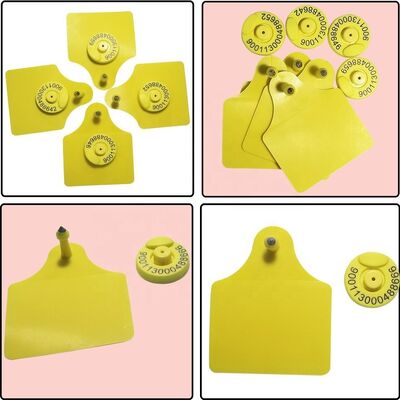 برچسب گوش گاو اسپلیت TPU با کیفیت بالا، نو، برای صنایع دامپروری