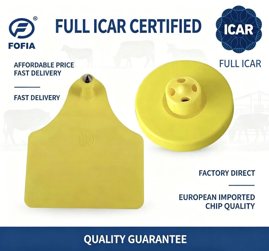 ICAR ET908+T905 ضد آب RFID TPU زرد تگ حیوانات FDX-B 134.2Khz EM4305 Chips Cattle