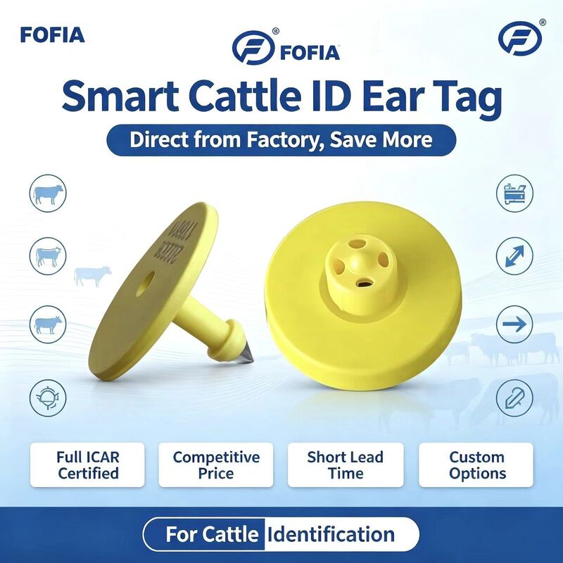 ICAR کامل ET908+T901 ضد آب RFID LF TPU برچسب های گوش زرد حیوانات 14.5mm EM4305 تراشه 5 سال گارانتی گاو فوفیا