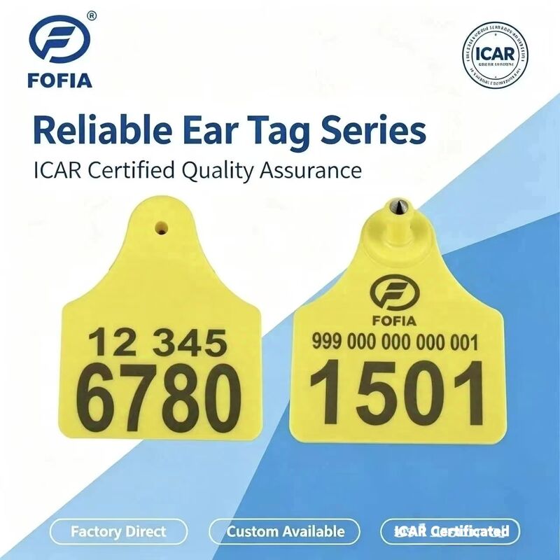 برچسب گوش حیوانات ترکیبی ICAR T904+T905 با کیفیت بالا RFID پلاستیکی TPU 70*57 میلی متر کد لیزری گارانتی 3 ساله ردیابی حیوانات
