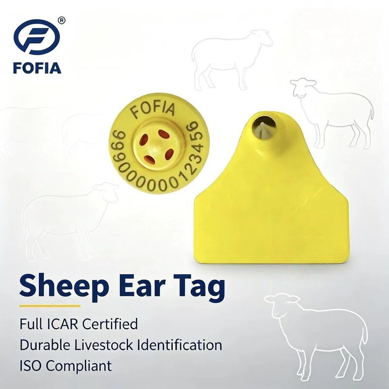 ترکیب ضد آب مقاوم برقی گوسفند گوسفند حیوانات ردیابی برچسب گوش جدید با کیفیت بالا RFID TPU لیزر کدگذاری 3 سال