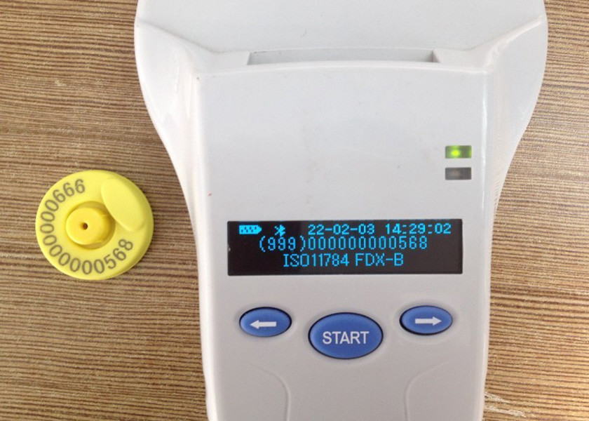 برچسب های گوش گاوهای RFID سفارشی چاپ شده جلوگیری از بیماری های عفونی، رنگ زرد