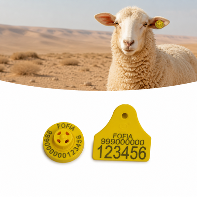 فاصله خواندن 22 سانتی متر برای FDX-B برچسب گوش گوسفند 4.0g فرکانس 134.2KHz طراحی شده برای افزایش بهره وری مزرعه گوسفند