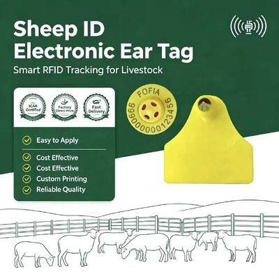 فوفیا آبپاشي ترکیبی الکترونيک حيوانات ردیابی برچسب گوش جدید با کیفیت بالا RFID TPU لیزر کدگذاری 3 سال گارانتی بز